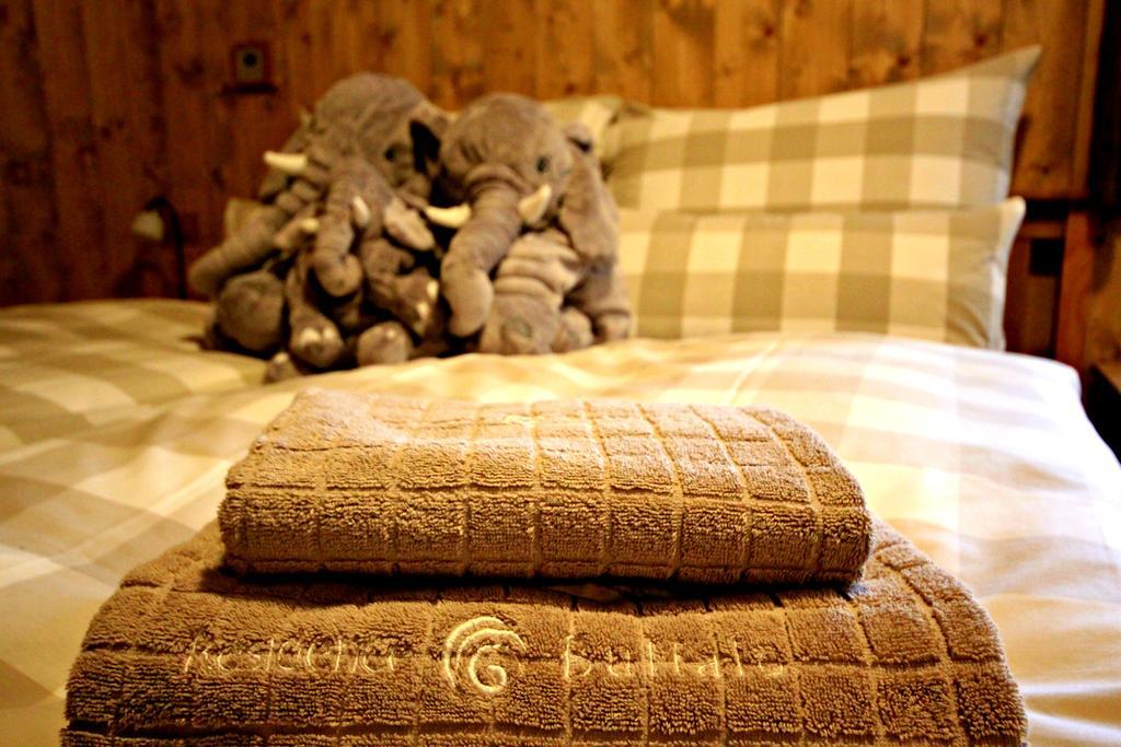 Residence Buffalo Špindlerŭv Mlýn المظهر الخارجي الصورة